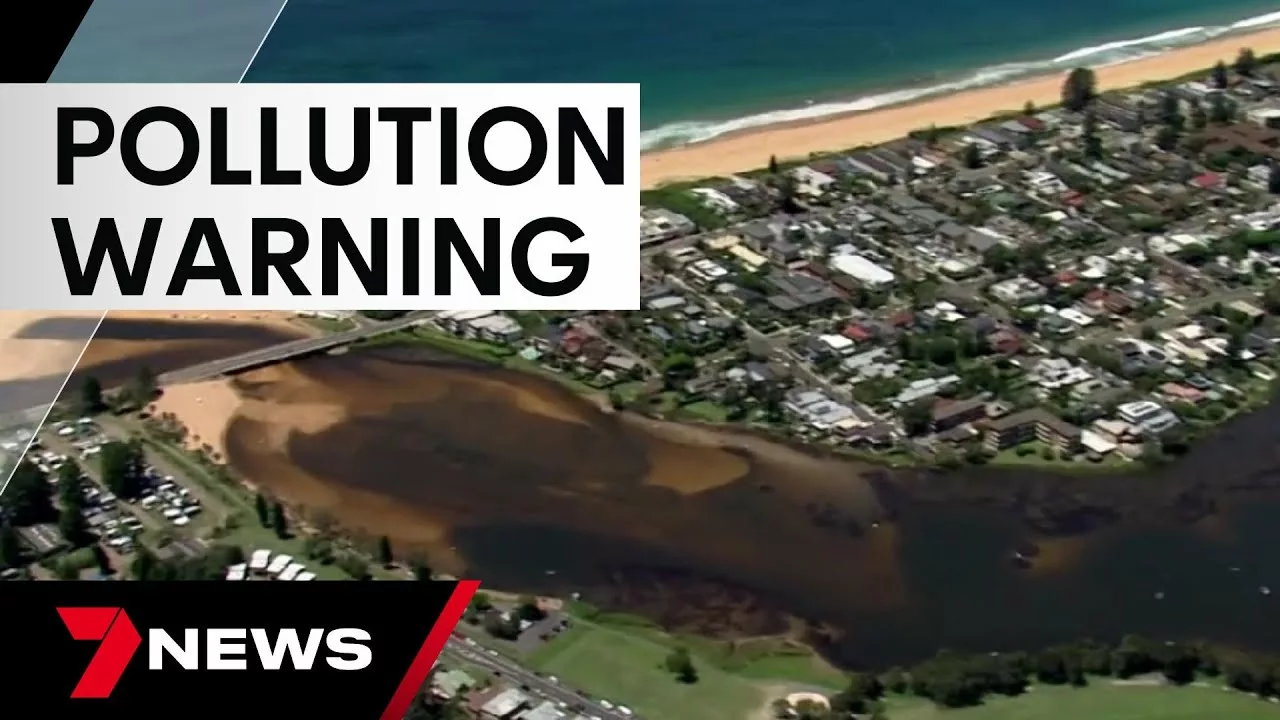 Popular Swimming Spots Across Sydney Flagged With High Levels of Contamination | 7 News Australia