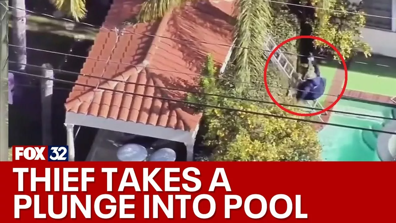 Would-Be Bandit Takes an Unscripted Swim at Beverly Hills Home | FOX 32 Chicago