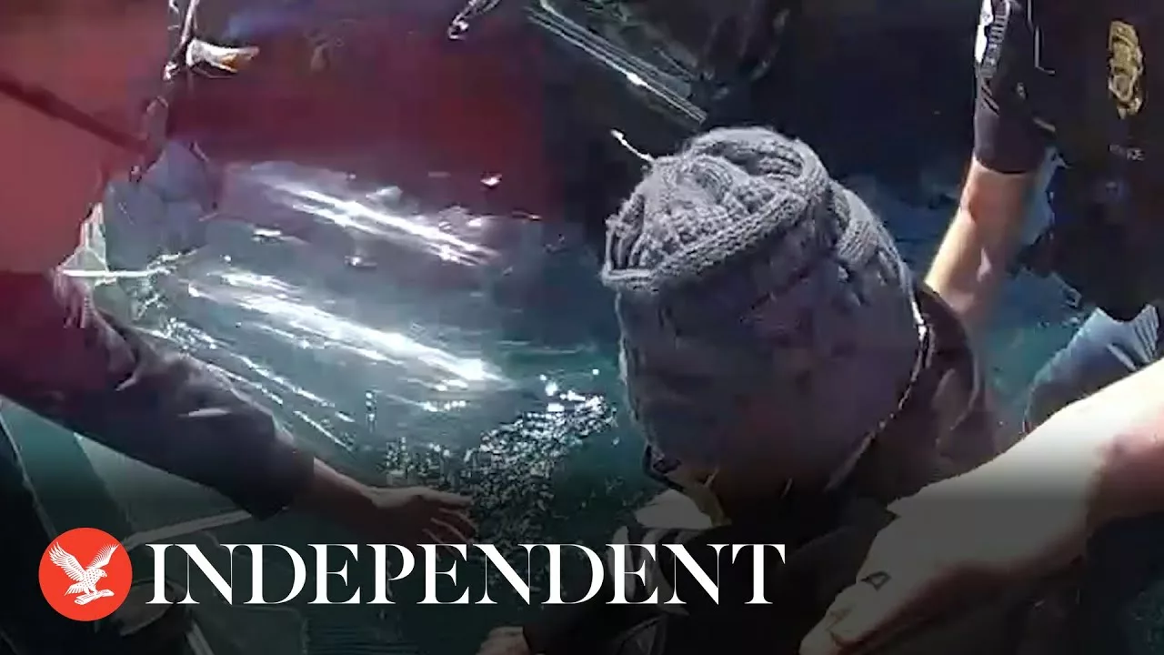 Sinking Driver Pulled From Car After Crashing Into Swimming Pool | Independent US