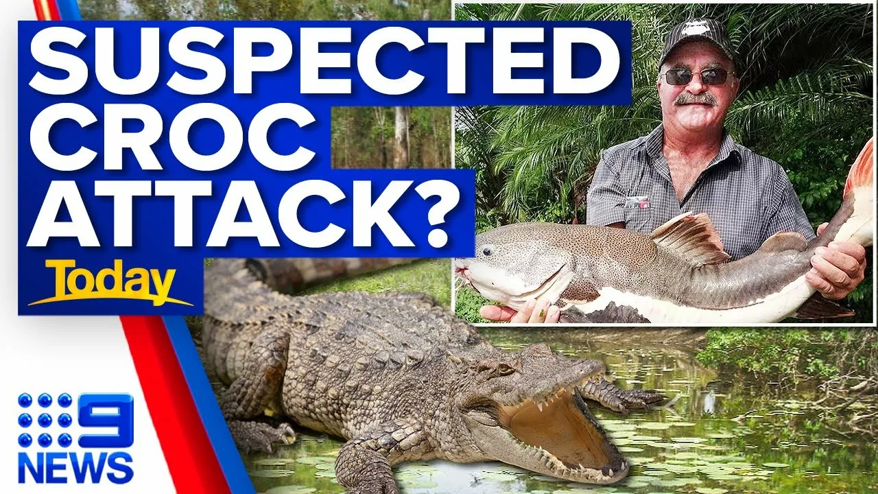 Missing Far North Queensland Swimmer Found Safe | 9 News Australia