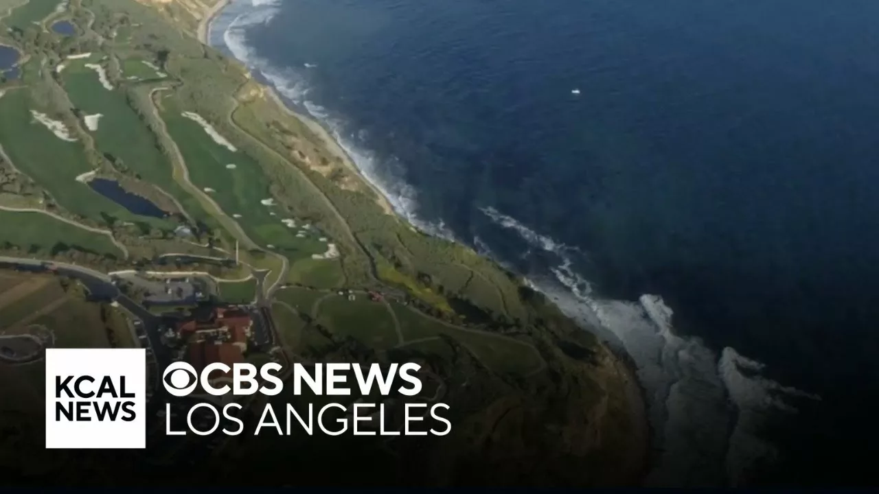 Plane Crashes off Rancho Palos Verdes Coast; Pilot and Dog Swim to Safety | KCAL News