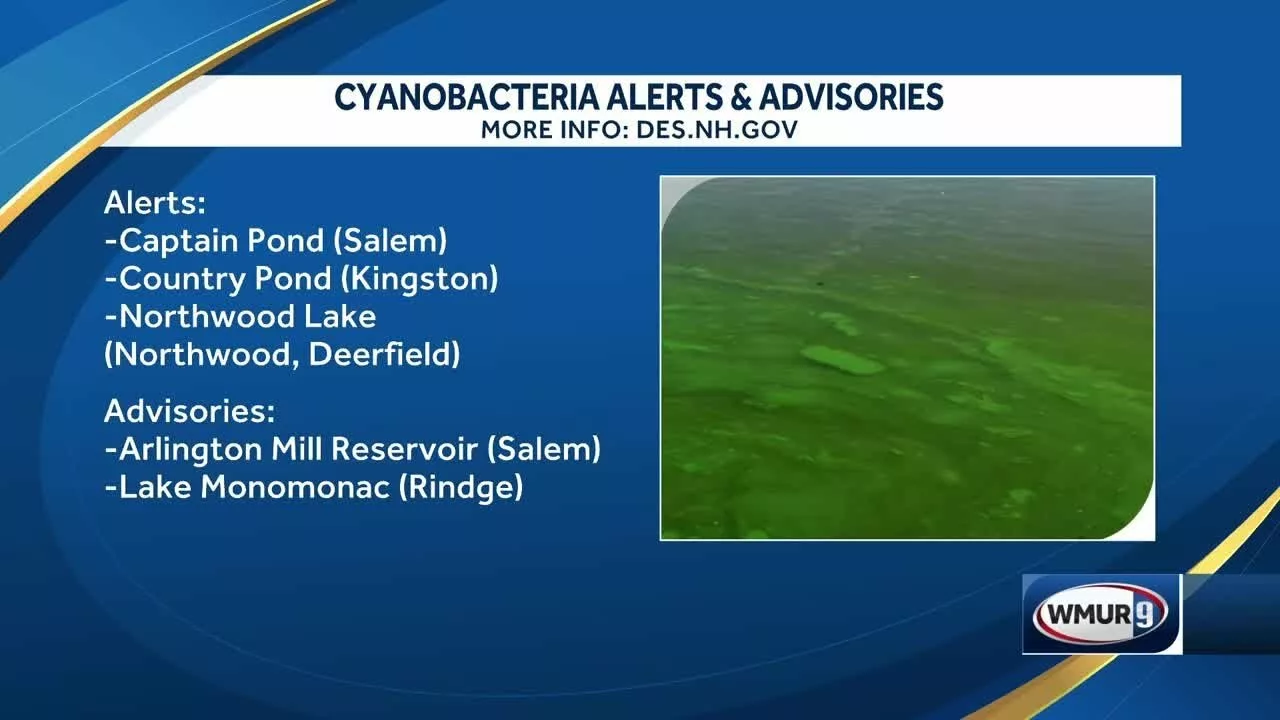 Officials Warn Swimmers About Potential Cyanobacteria Growths in Water | WMUR-TV